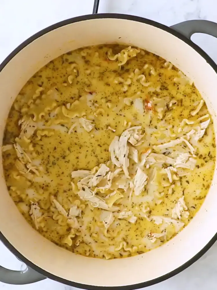 white chicken lasagna soup recipe recipezenith